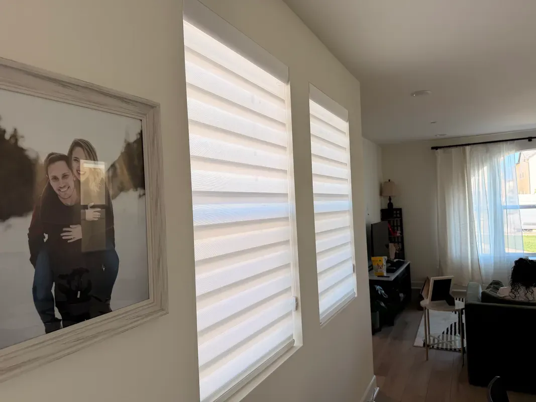Dual Sheer Zebra Shades in Calabasas
